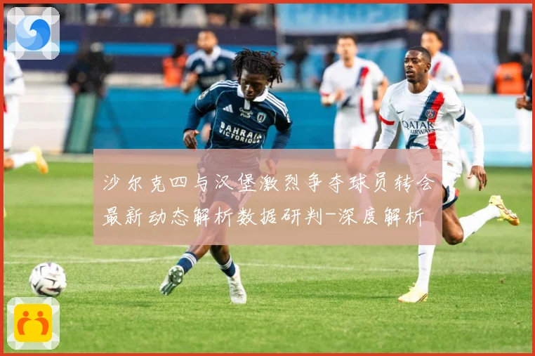 沙尔克四与汉堡激烈争夺球员转会最新动态解析数据研判-深度解析