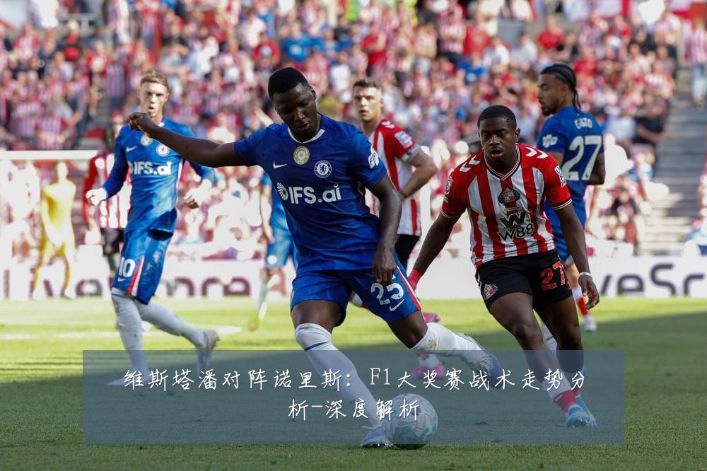 维斯塔潘对阵诺里斯:F1大奖赛战术走势分析-深度解析