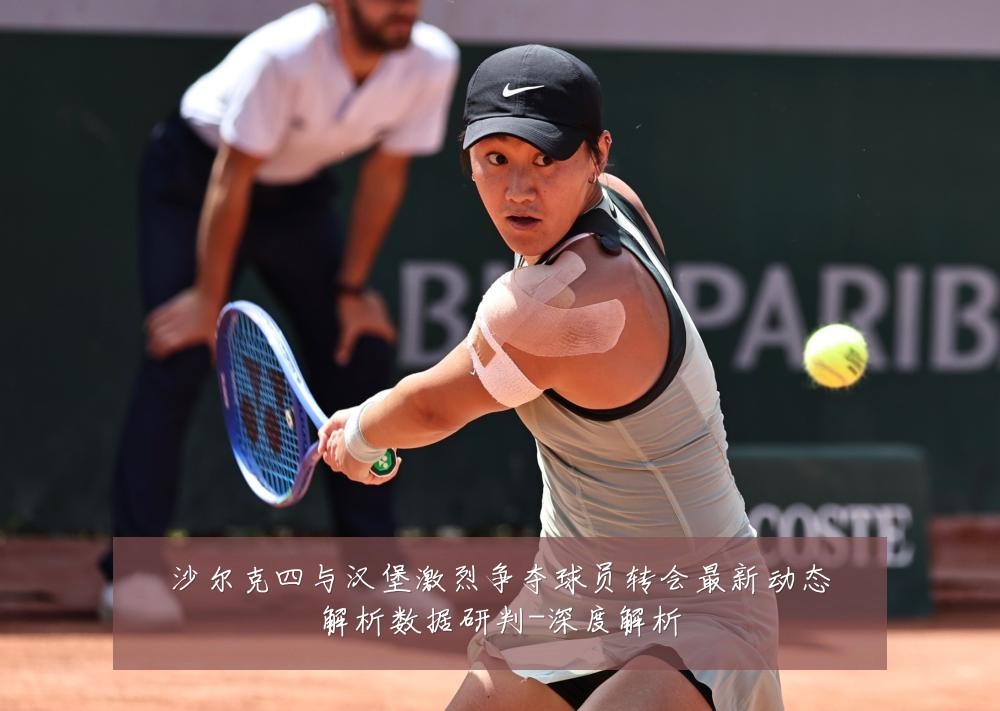 沙尔克四与汉堡激烈争夺球员转会最新动态解析数据研判-深度解析
