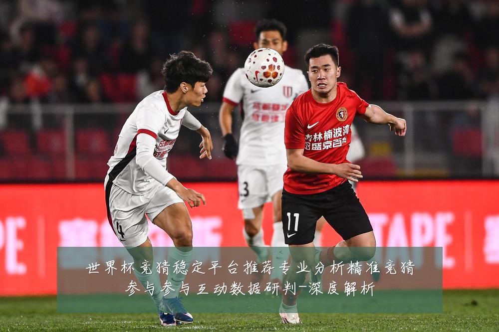 世界杯竞猜稳定平台推荐专业分析精准竞猜参与参与互动数据研判-深度解析